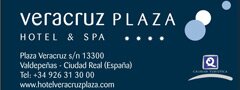 Veracruz Plaza. Hotel & SPA ****
